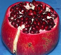 Wonderful Hardy Pomegranate