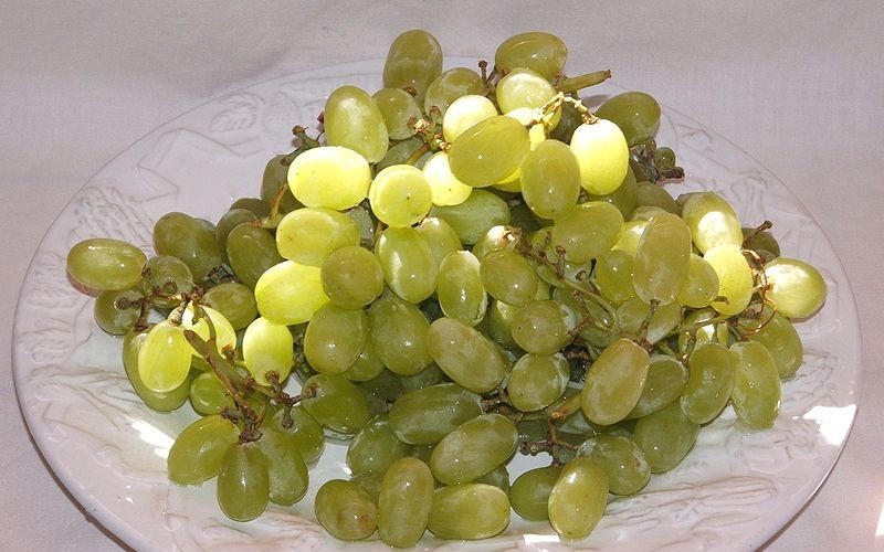 Thompson Seedless Grape  - 1 Gallon - Grapes | ToGoGarden