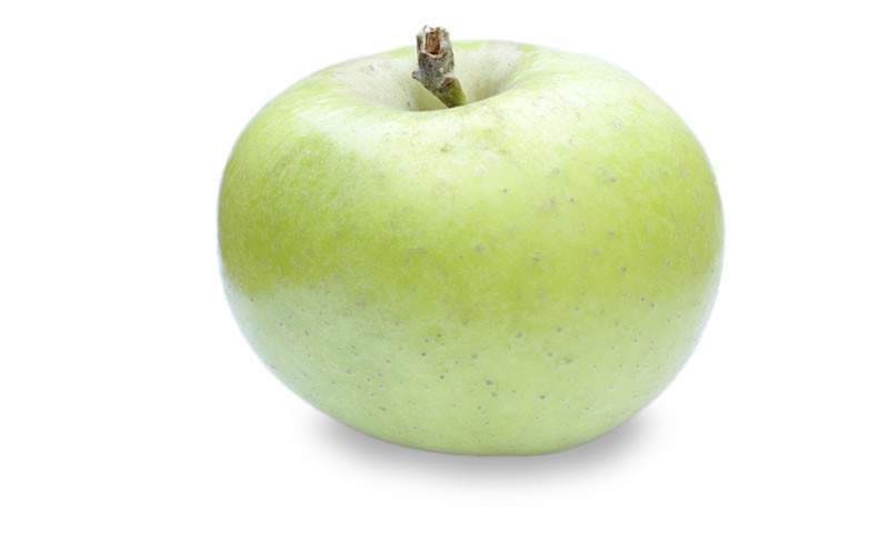 Mutsu Apple - 5 Gallon - Fruit Plants | ToGoGarden