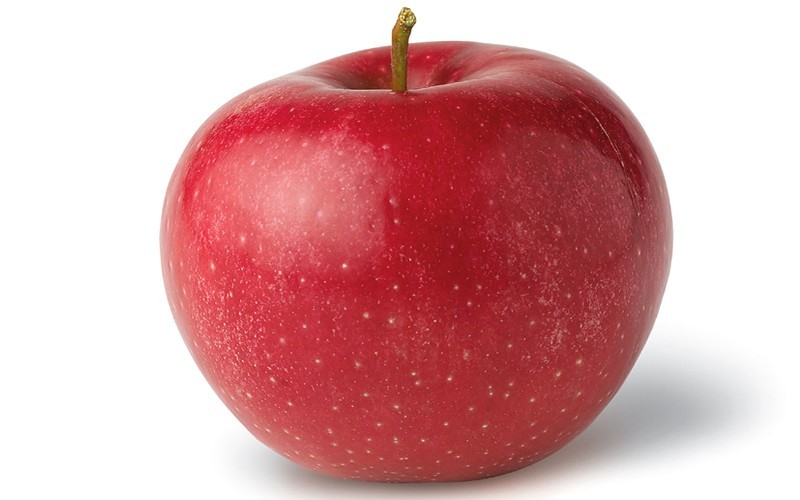 Red Rome Apple Photo 1