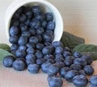 Shop Becky Blueberry - 2.5 Quart