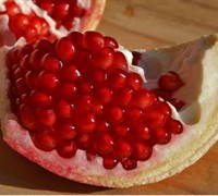Russian 26 Cold Hardy Pomegranate