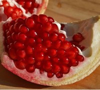 Shop Russian 26 Cold Hardy Pomegranate - 1 Gallon