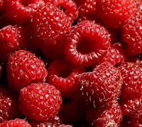 Heritage Raspberry